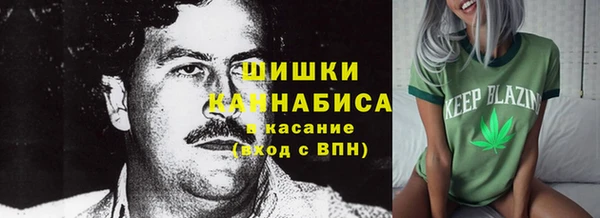 прущие грибы Алексин