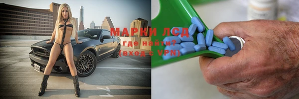 прущие грибы Алексин