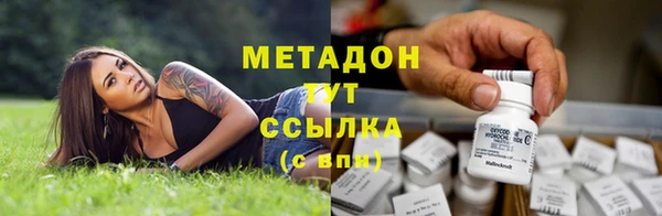 стаф Алзамай