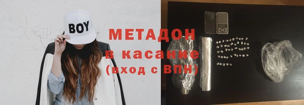 стаф Алзамай