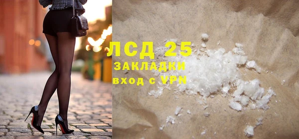 стаф Алзамай