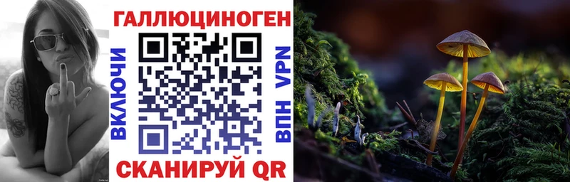закладка  Любим  маркетплейс формула  Галлюциногенные грибы Psilocybe 